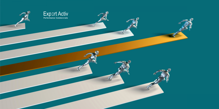 la mesure de la performance commerciale