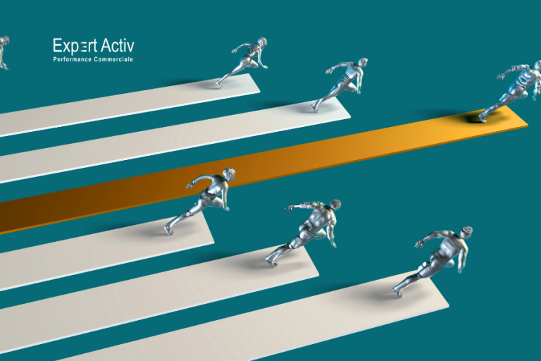 la mesure de la performance commerciale