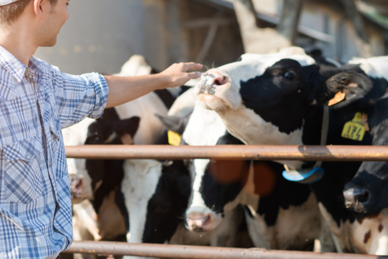 fidélisation client